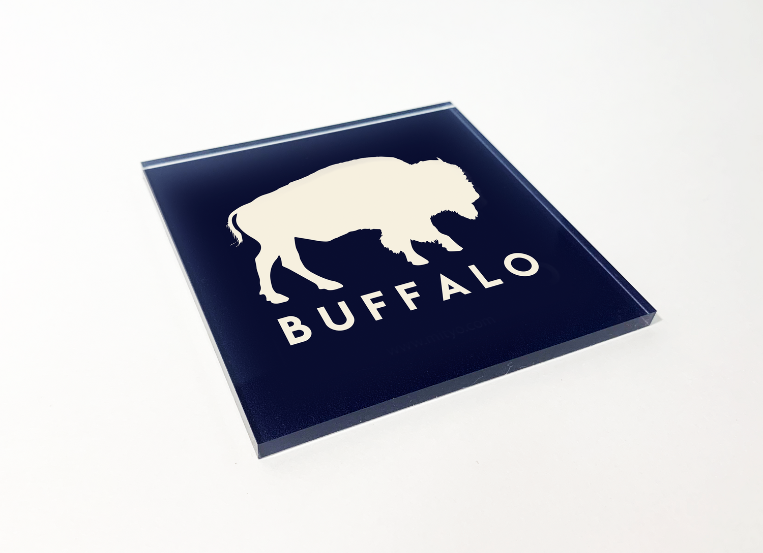 Buffalo and Rochester NY Coasters