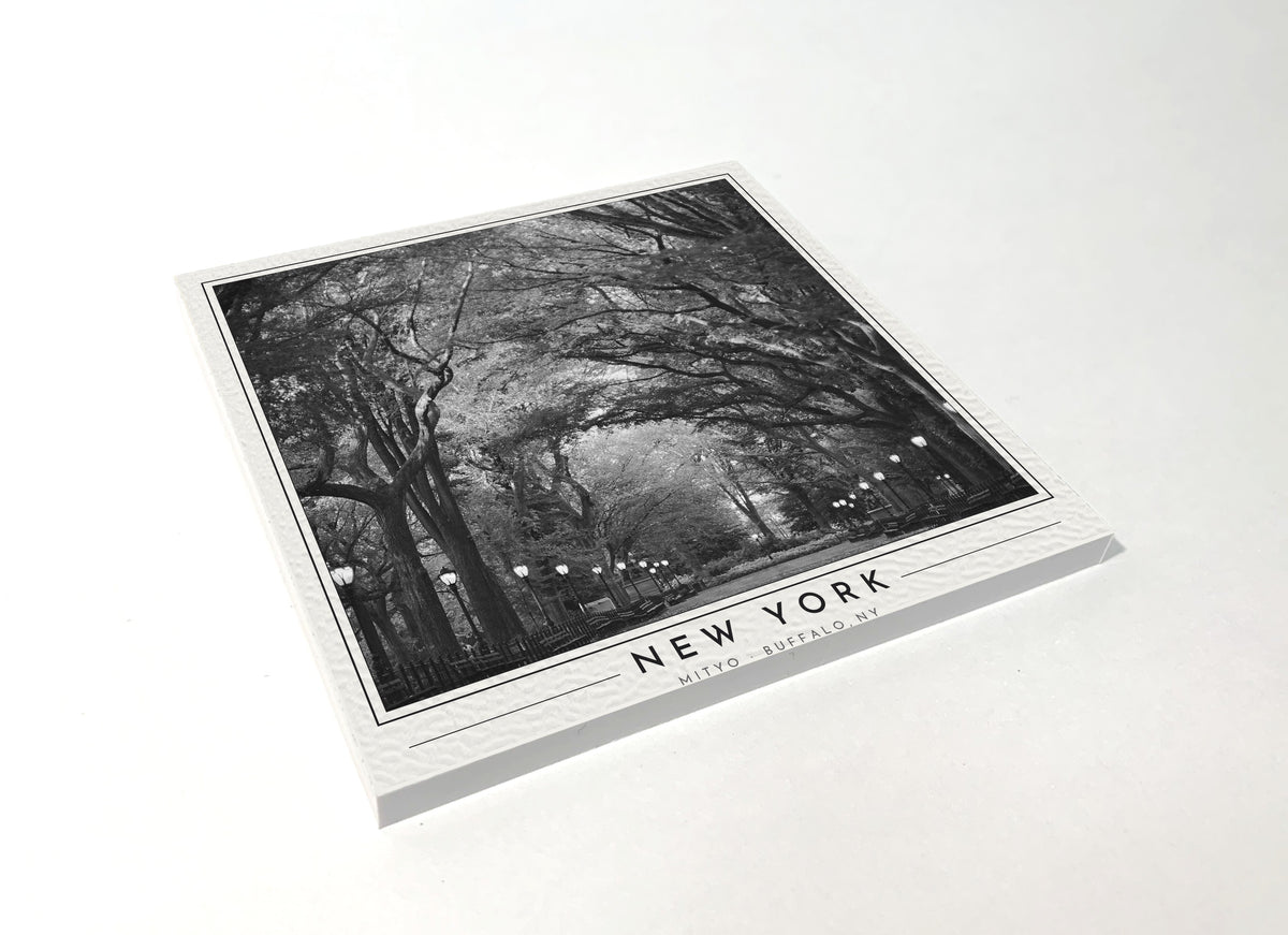 Square poster-style coaster of the Mall in Central Park, black-and-white